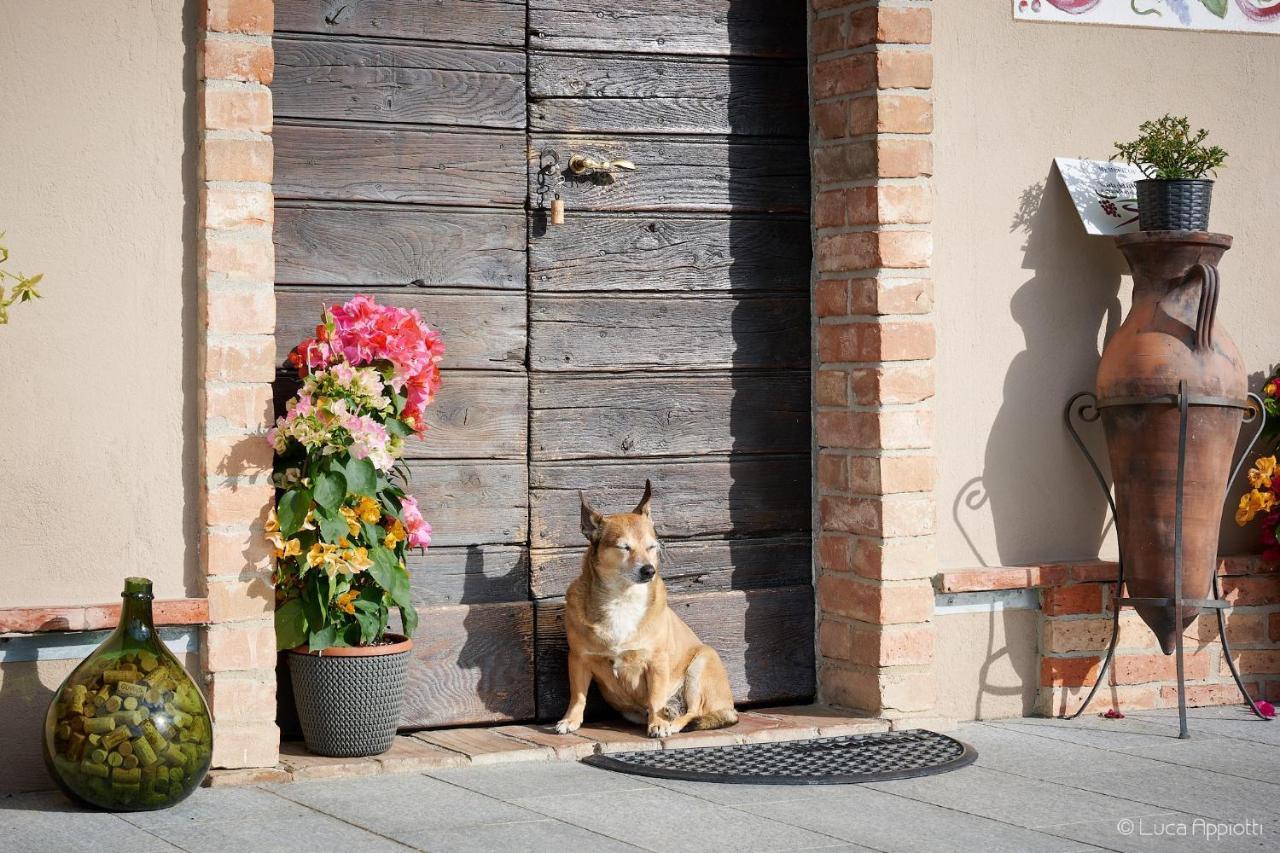 Agriturismo Cascina Sciulun Hostal Monforte dʼAlba Exterior foto